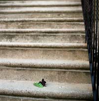 gal/Untitled (Project)/_thb_024.jpg